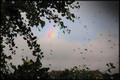 The drops of d&hellip;