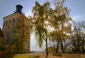 Lotrscak u kon&hellip;