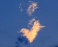 The wings of l&hellip;