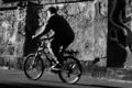 Pedaliranje kr&hellip;