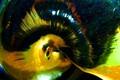 The spiral of &hellip;