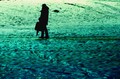 On which path &hellip;