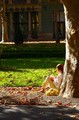 Sunny autumn p&hellip;