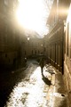 Sunny winter d&hellip;