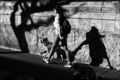Takea walk wit&hellip;
