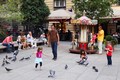 Taubeki, čekaj&hellip;