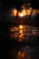 Tje Sunset Dan&hellip;