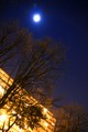 Moonlight in t&hellip;