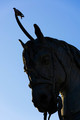 Unicorn ili je&hellip;