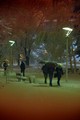 Winter dreams.&hellip;
