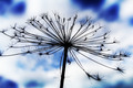 Širim horizont&hellip;