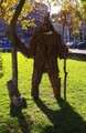 The forest mon&hellip;