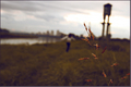 A town called &hellip;