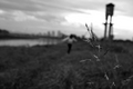 A town called &hellip;