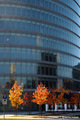 Autumn in the &hellip;