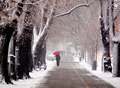 Zima na buleva&hellip;