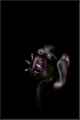 scream from he&hellip;