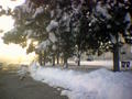 Early Snow