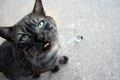 Boris i njegov&hellip;
