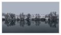 zimska refleks&hellip;