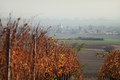 Baranja u jese&hellip;