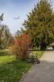 Parkiran