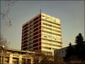 Sasvim obična &hellip;