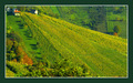 Sunčana jesen &hellip;