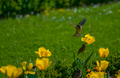 "osice&qu&hellip;