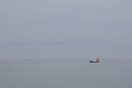 RIbar