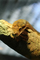 sssssstižem...&hellip;