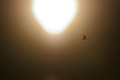 Neko čudno sun&hellip;