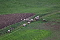 Uskršnja forma&hellip;