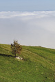Život iznad ob&hellip;
