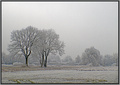 Krugovi u budu&hellip;