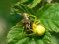 Smrtonosan zag&hellip;
