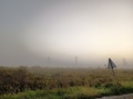 Turopoljski lu&hellip;