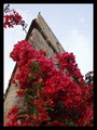 Porto Vecchio &hellip;