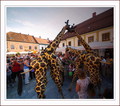 Žirafe dolaze-&hellip;