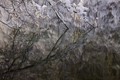 plitvičko ogle&hellip;
