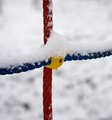 crveno-plavo-ž&hellip;