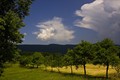 lički šljivik &hellip;