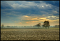 Slavonska polj&hellip;