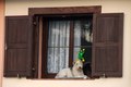 Pogled s prozo&hellip;