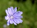 Satelitska ant&hellip;
