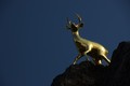 Kultainen peur&hellip;