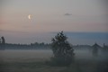 Finska polarna&hellip;