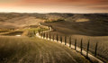 Baccoleno, Tos&hellip;