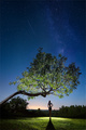 Sky Full of St&hellip;