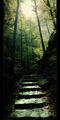 Stairway To He&hellip;